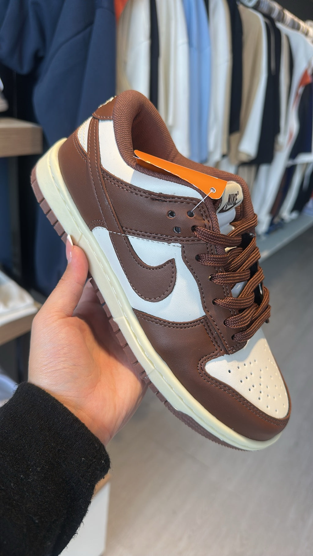Dunk low
